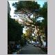 korcula5.html