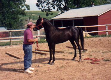 Full body shot of Allah. 5 yr old.