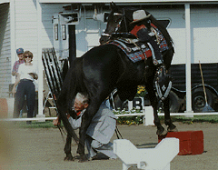 Carl Sphar with Malachi