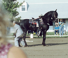 Carl Sphar with Malichi