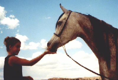 1999 photo of Bluewater Sierra