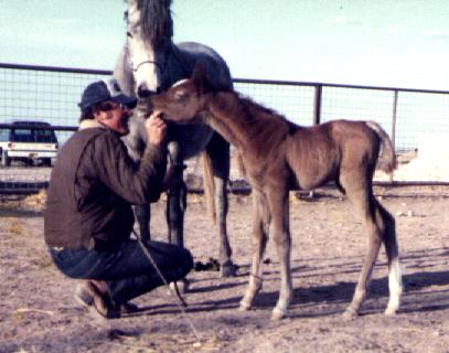 1985 photo of lace with dam Mona Lisa