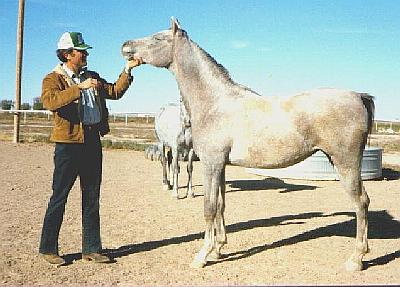 1985 photo of lace with dam Mona Lisa