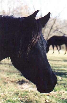 Head shot of Gem at three.