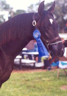 Head shot of Khe Hanad with blue ribbon.