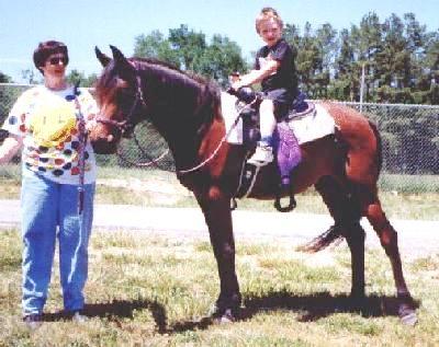 Storrmy sa three year old under saddle.