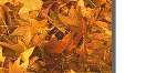 Autumn Leaves