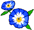 flower2.gif (1728 bytes)