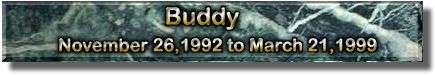 Buddy's memorial