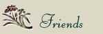 All My Friends