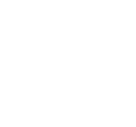 Computer Cat 4