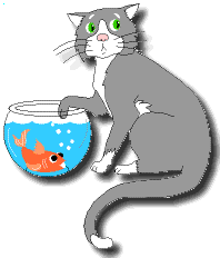 Cat in Fish Bowl