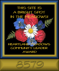 Meadows Award