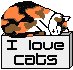 Love Cats