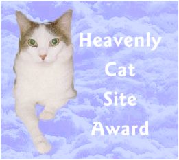 heavenly cat