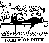 Pitch