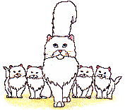 White Cats