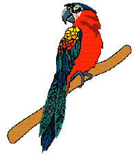 Red Bird