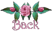 back1.gif (7602 bytes)