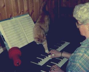 nick on the organ