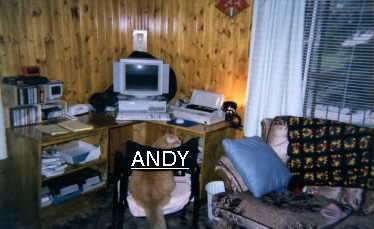 Puter cat andy.