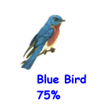 Blue Bird