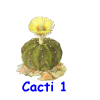 Cacti 1 