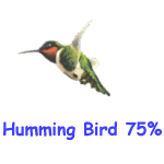 Hummer