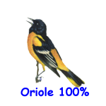 Oriole