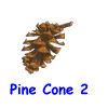 Pinecone 2