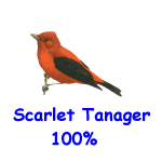 Scarlet Tanager