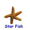 Star Fish