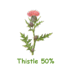 Thistle