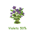 Violets