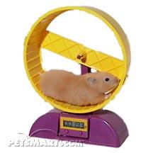 These wheels track the distance your hamster runs.. Click here to buy one!