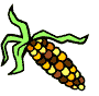 corn2