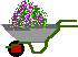 wheelbarrow with flowers