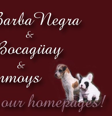 Click on the Jack Russel terrier and French bulldog to go to Barba Negra & Bocagay pages