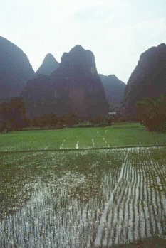 Guilin - Li River - China - Cina