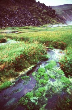 Landmannalaugar - Iceland - Islanda