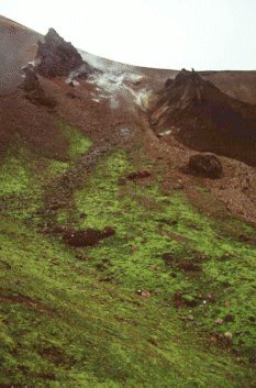 Landmannalaugar - Iceland - Islanda