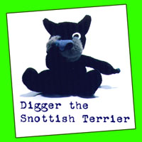 Digger the Snottish Terrier