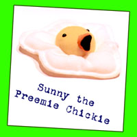 Sunny the Preemie Chick