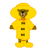 bear