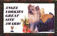 Angel Yorkies Award