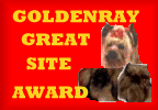 Goldenray Yorkies Award