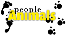 people for animals