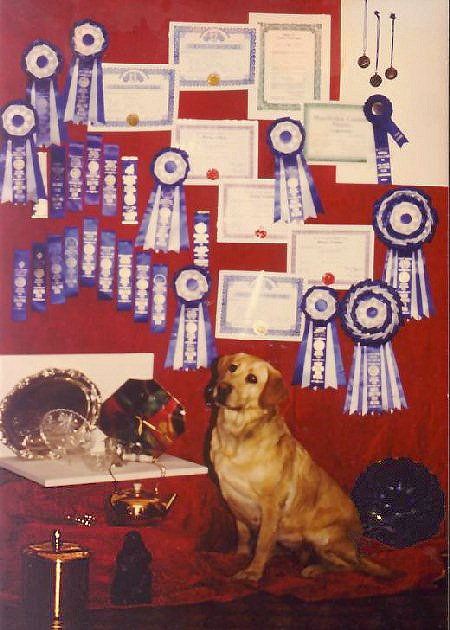 Sky and her trophies