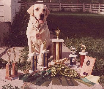 Chance with his trophies