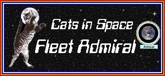 Cats In Space